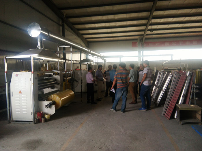 環保部督（dū）查組